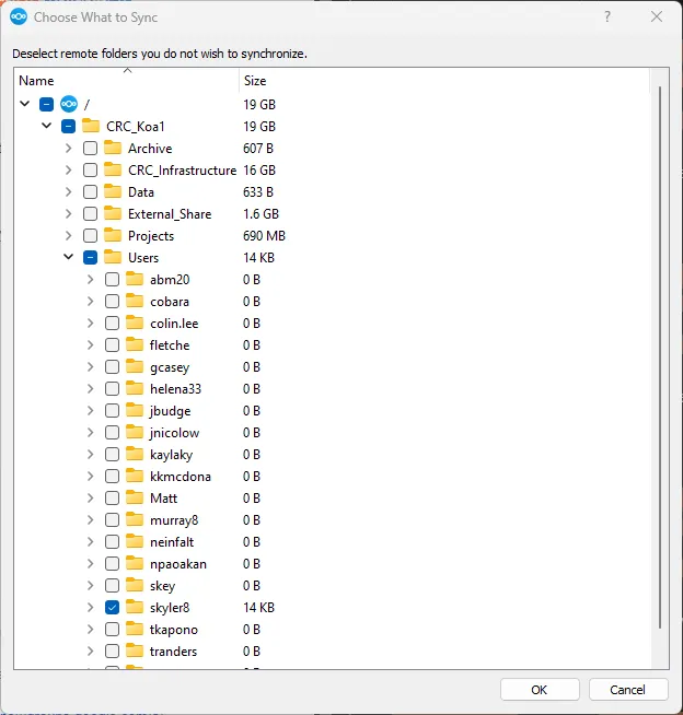 KoaCloud Sync Folder